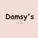 Damsy's venture