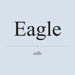 Eagle Cells