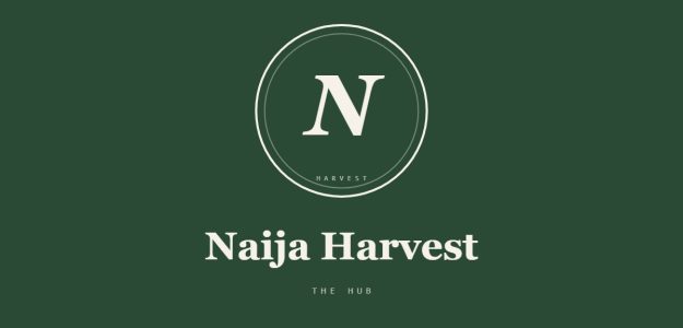 Naija Harvest Hub
