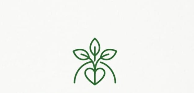 Hassy k organic food