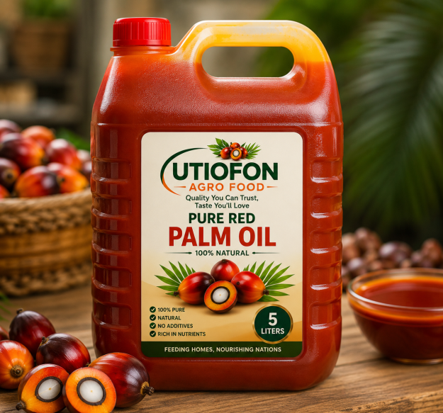 cropped-file_00000000a5d872438cb56b4549143ed7.png Red Palm Oil (5 Litres) - Image 1