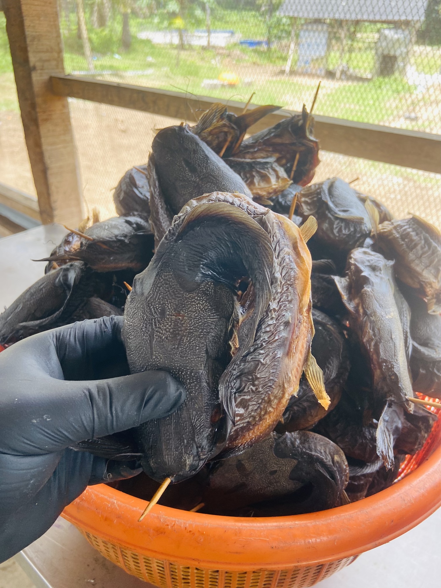 Whole folded smoked catfish